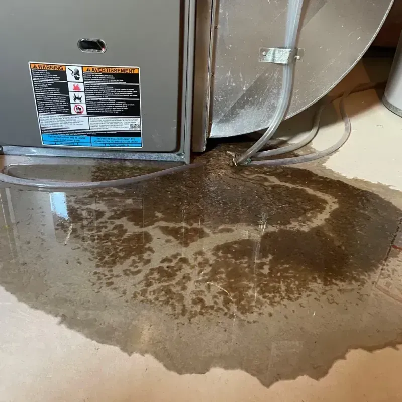 Appliance Leak Cleanup in Kenansville, NC